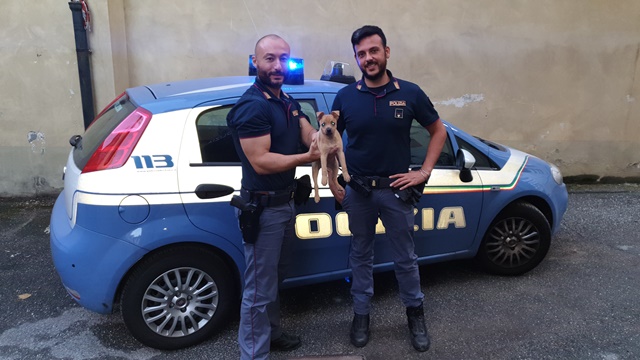 Torino: cucciolo salvato dalla Polizia di Stato