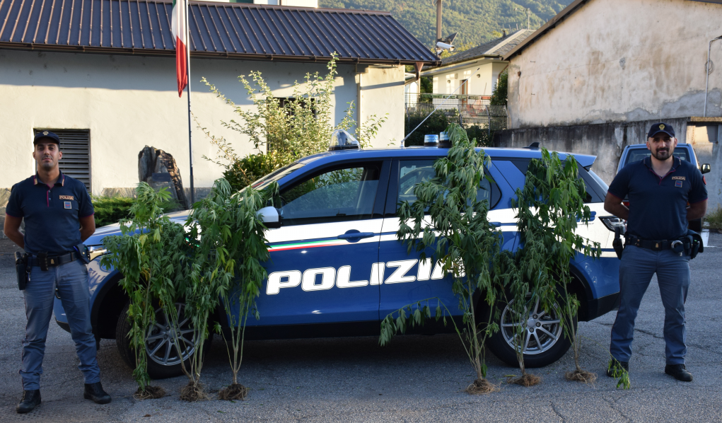 Poliziotti della Questura sequestrano 7 piante di marijuana