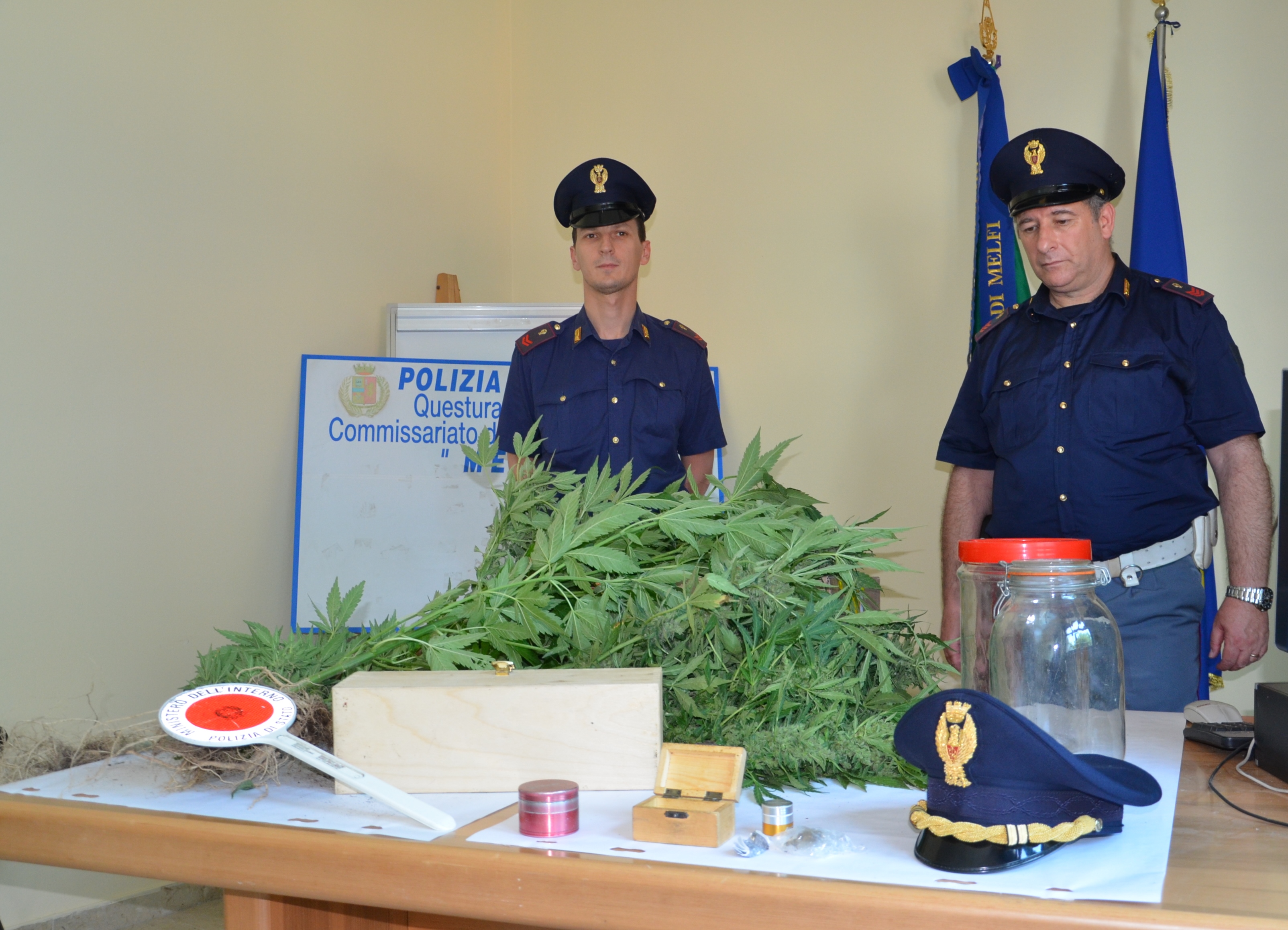 Coltivava marijuana-arrestato