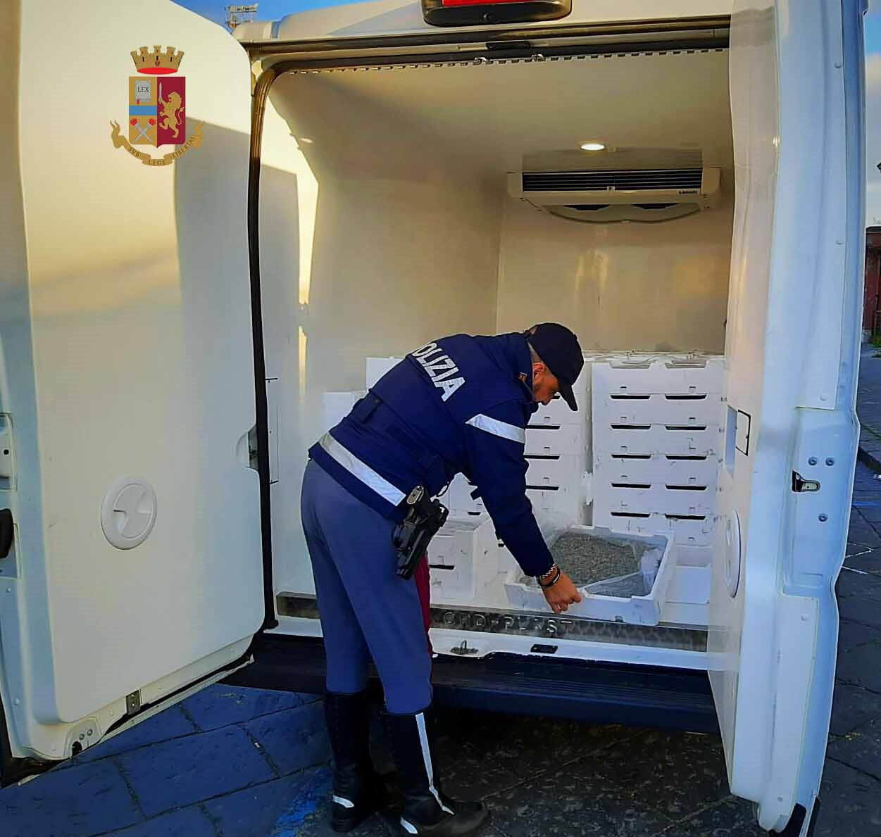 La Polizia di Stato sequestra oltre 1.100 chilogrammi di novellame di sarda.