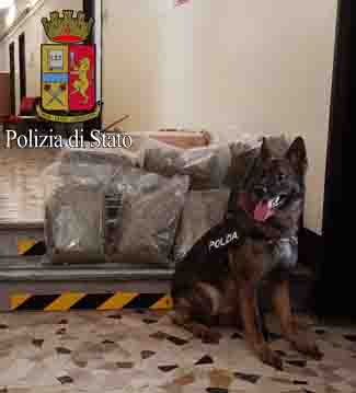 Milano: la Polizia di Stato arresta spacciatore con 30 chili di droga.