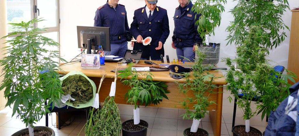 attraverso una botola, si accedeva ad un locale ove aveva allestito una serra di marijuana- 36enne arrestato dalla Polizia a Grumo Nevano