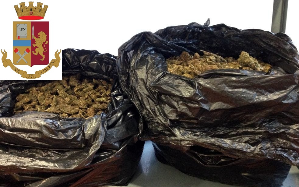 Niscemi 15 chili marijuana in due sacchi