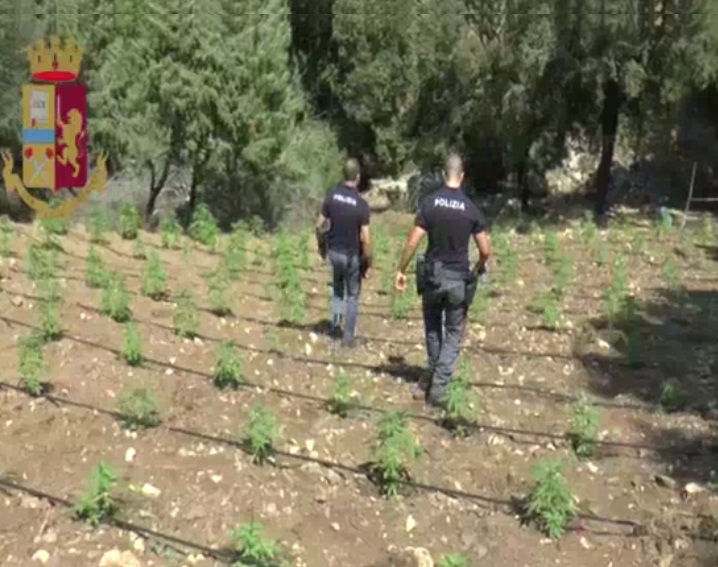 Polizia nella coltivazione