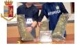 sequestrata 3,4 kg marijuana e 303 gr cocaina. un arresto