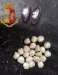 Torino: C.P.R., cocaina occultata tra i biscotti