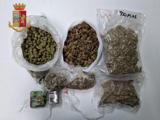 Piante di marijuana in casa: un arresto della Polizia di Stato