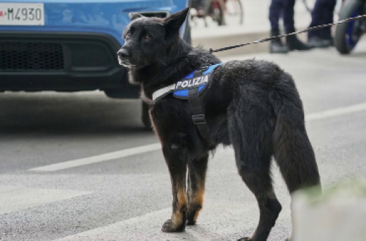 Proseguono i controlli amministrativi e antidroga di Polizia nel centro storico di Teramo