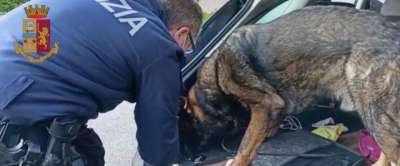 La Polizia di Stato di Pordenone smantella vasta rete spaccio droga. Perquisizioni tra Friuli e veneto. 9 indagati