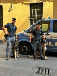 Assegnate alla Questura di Bologna due unità cinofile per l’Ordine Pubblico