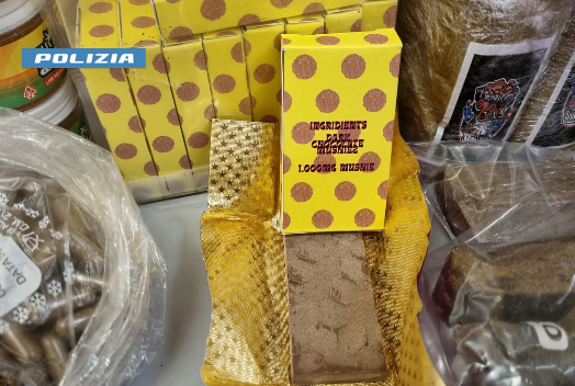 Torino: cioccolata e piantine allucinogene, due arresti della Polizia di Stato