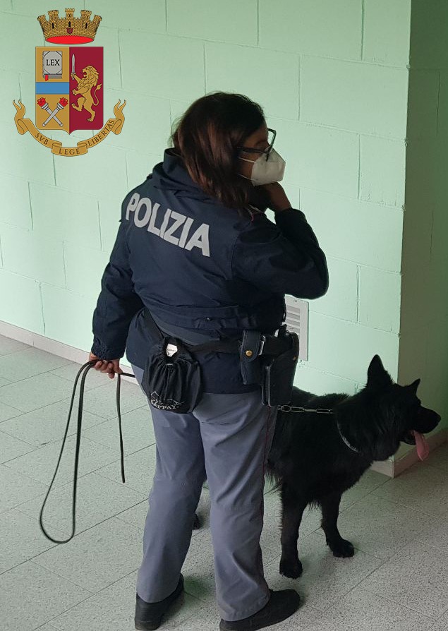 Barletta: Droga in casa scovata grazie al cane Faro Arrestato 43enne per spaccio