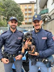 Polizia di Stato di Bologna: agenti salvano cucciolo di Rottweiler, maltrattato dal suo padrone.