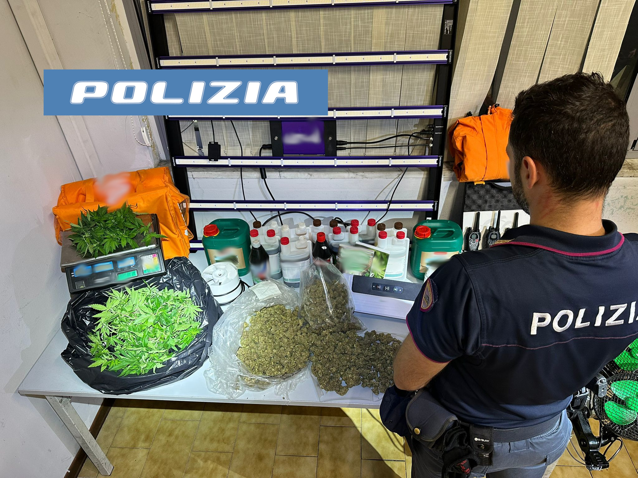 PADRE E FIGLIO ARRESTATI DALLA POLIZIA DI STATO: COLTIVANO LA MARIJUANA IN CASA E LA SPACCIAVANO A DOMICILIO