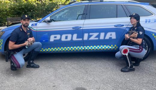 LA POLIZIA DI STATO SALVA DEI GATTINI ABBANDONATI IN AUTOSTRADA