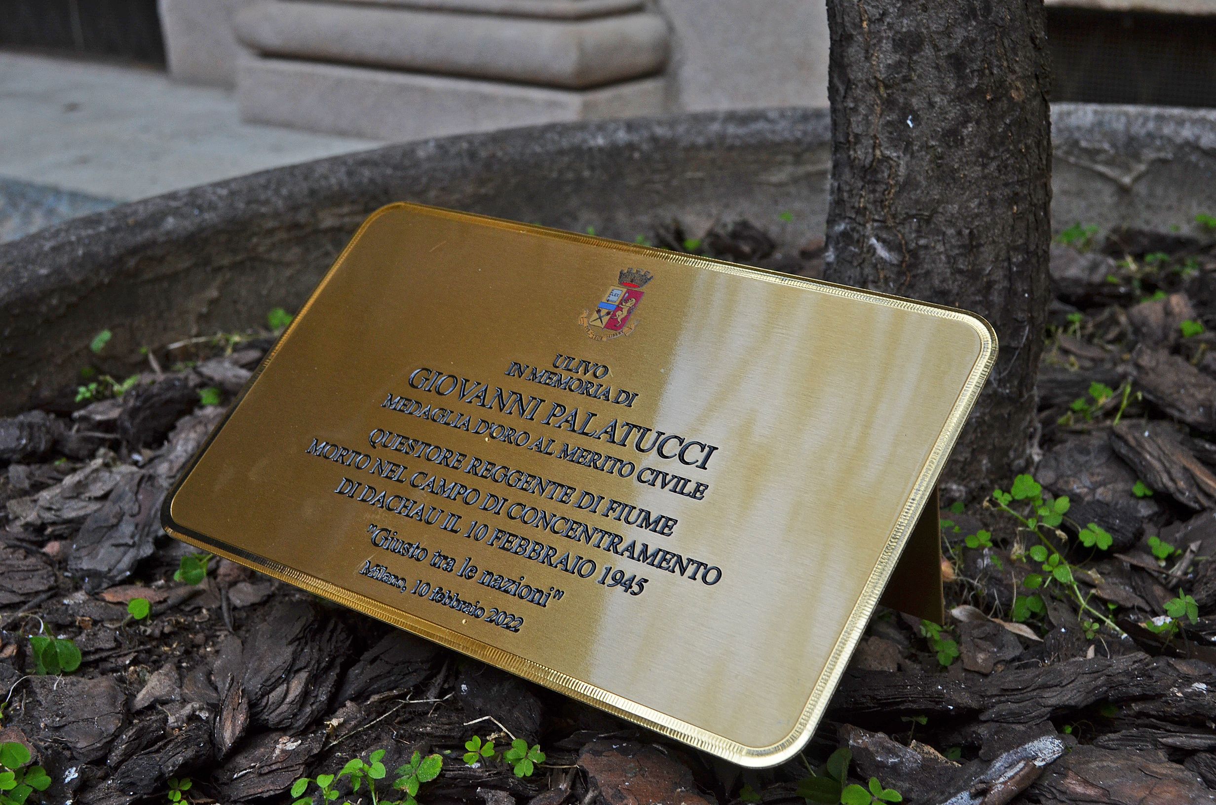 Milano: il Questore di Milano Giuseppe Petronzi ha scoperto la targa con cui è stato dedicato un ulivo alla memoria dell'ex Questore di Fiume Giovanni Palatucci