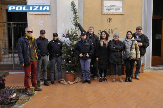 Carrara: la Polizia di Stato "salva" il Natale. Recuperato l'albero di Natale  del quartiere cittadino da dove era stato sottratto.