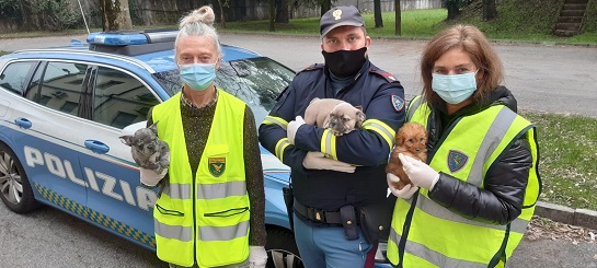 Polizia Stradale Gorizia - sequestro cuccioli cane
