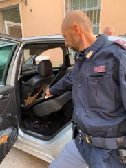 Ladri in trasferta a Pescara