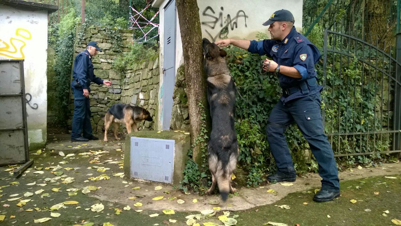 Un'esercitazione delle unità cinofile antidroga della Polizia di Stato fiorentina