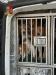 36 cani di varie razze pregiate viaggiavano in condizioni disumane: salvati dalla Polizia di Stato di Gorizia