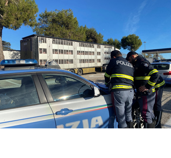 Autotrasportatore francese intercettato dalla Polizia Stradale