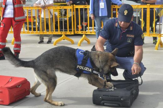 Formia: i reparti della Polizia di Stato in mostra all'evento "University Village".