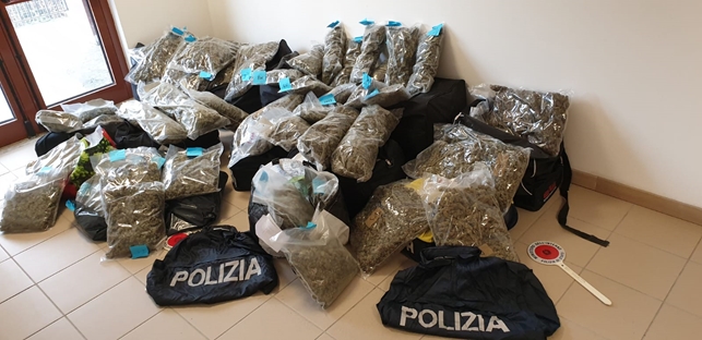 Operazione Polizia di Stato Monza Sequestro Marijuana
