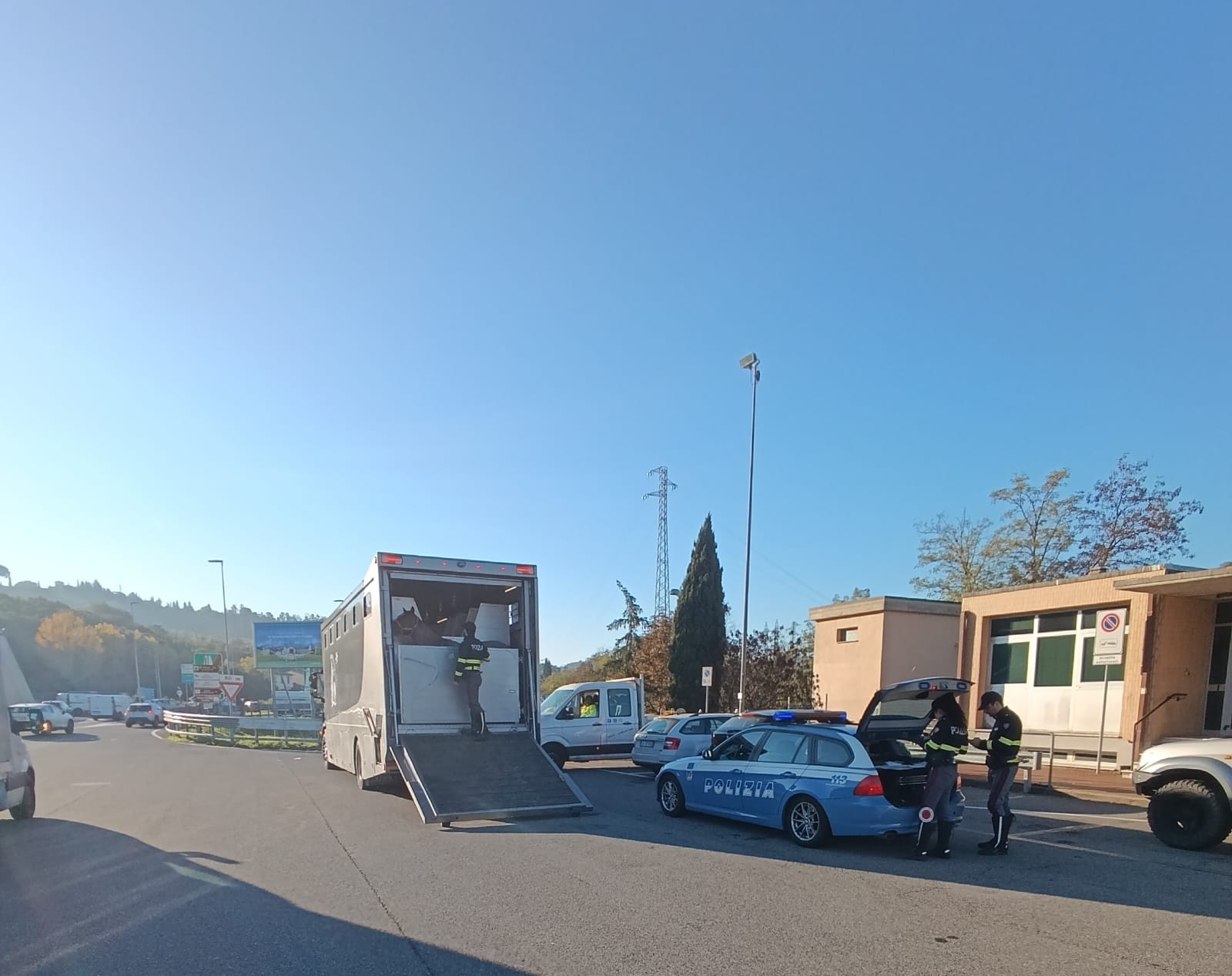 Polizia Stradale Prato - Controlli su trasporto cavalli su strada.