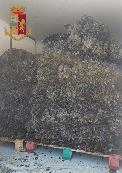La Polizia di Stato sequestra circa 500 kg di cozze nere