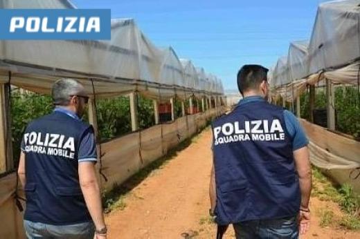 CONTROLLI DELLA POLIZIA PER IL CONTRASTO AL CAPORALATO ED ALLO SFRUTTAMENTO DELL’IMMIGRAZIONE CLANDESTINA