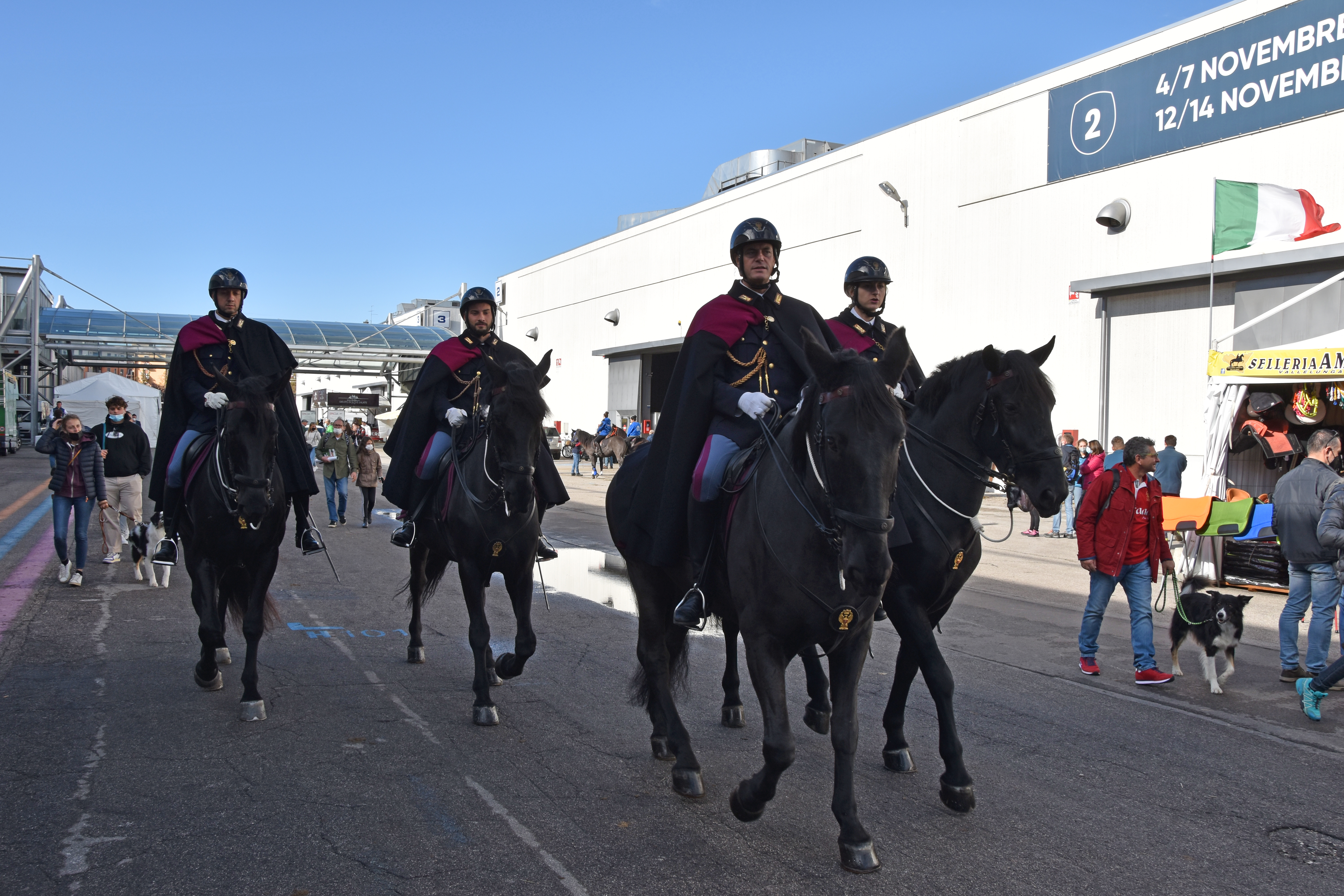 Fieracavalli Verona - Rearto a Cavallo della Polizia di Stato