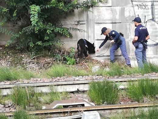 POLIZIA DI STATO: ATTIVITA' DI CONTROLLO DEL TERRITORIO