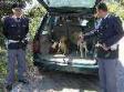 I Poliziotti che hanno salvato i cani maltrattati