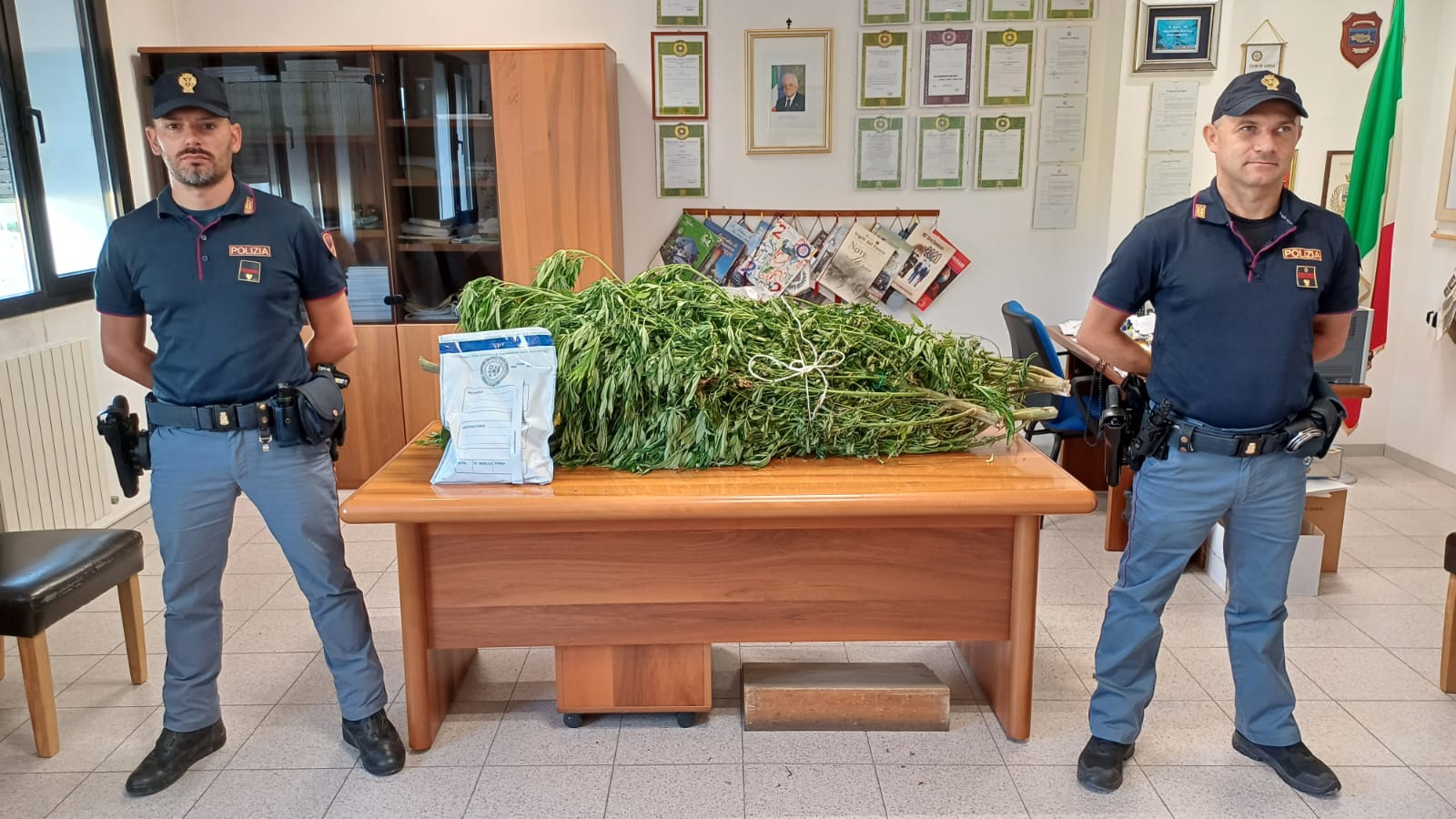 La Polizia di Stato denuncia tre giovani per ipotesi accusatoria di coltivazione di stupefacenti e sequestra 15 piante di mariuana