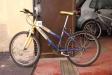 Bicicletta tipo mountaim-bike da uomo