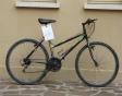 18) MOUNTAIN BIKE DI COLORE NERO CON SFUMATURE VARIOPINTE MARCA “RAIN” 