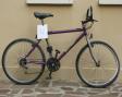 31) MOUNTAIN BIKE DI COLORE VIOLA/GRIGIO MARCA “CHESINI” 