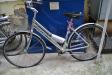 Le Volanti della Questura di Rimini ha rinvenuto una bicicletta da donna marca vicini in stato di abbandono.
